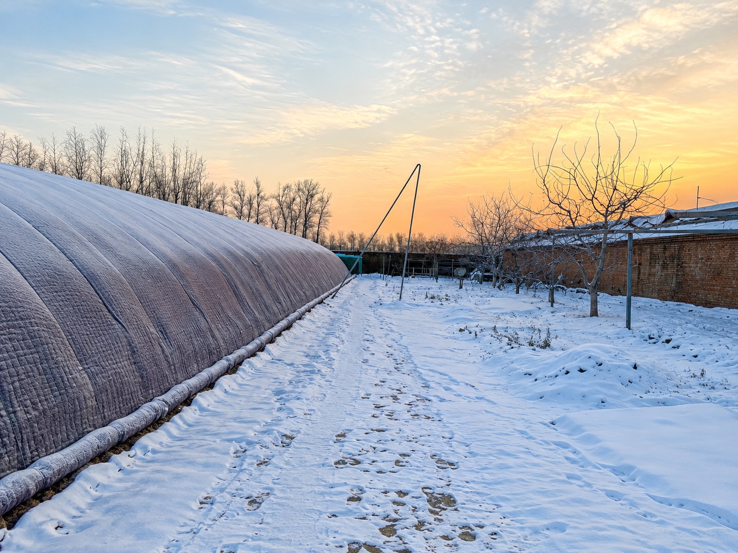 PE greenhouse insulation quilt deployed over a winter greenhouse