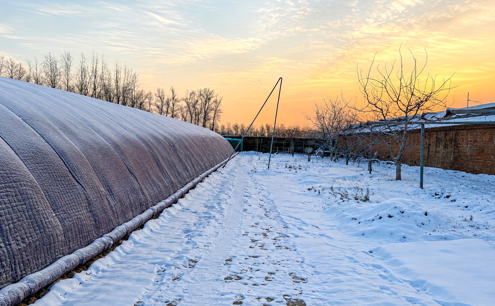 Winter greenhouse covered with PE woven insulation quilt in snowy conditions