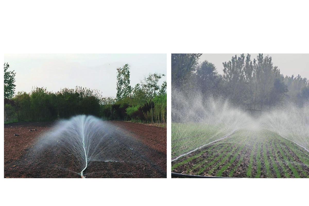 Micro-spray tape irrigating open fields