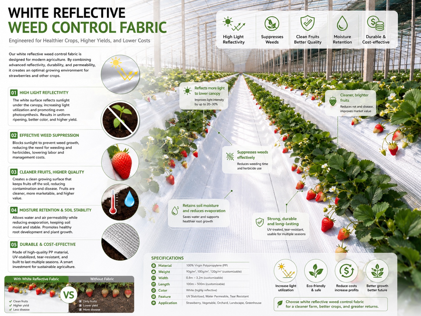 White reflective weed control fabric infographic for strawberry greenhouse growing